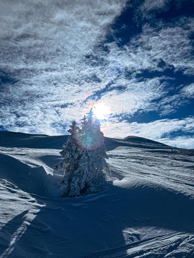 Linzerhaus Hotel Saalbach-Hinterglemm Eksteriør billede